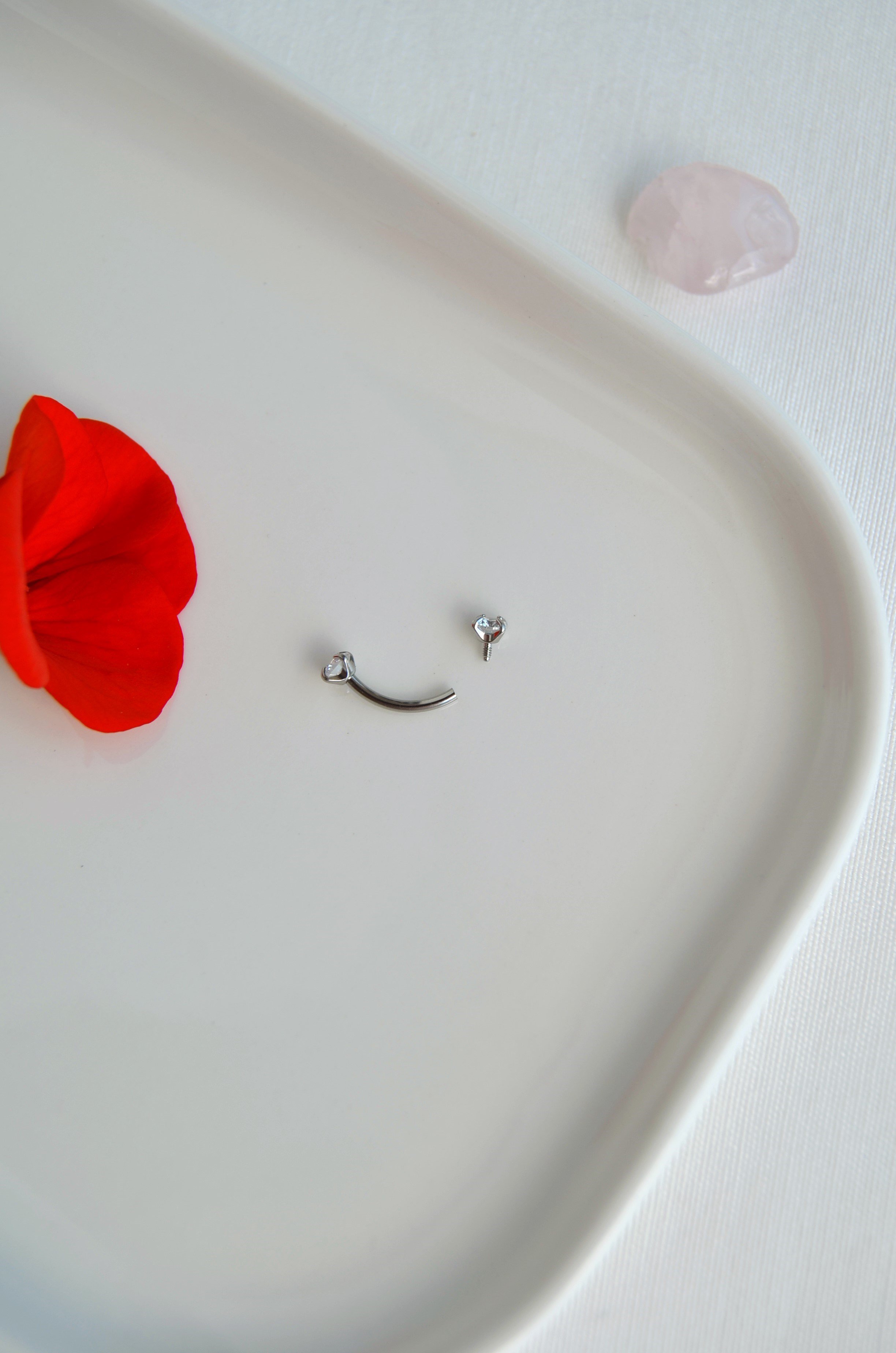 316L Çelik Zirkon Taşlı Kaş ve Rook Piercing