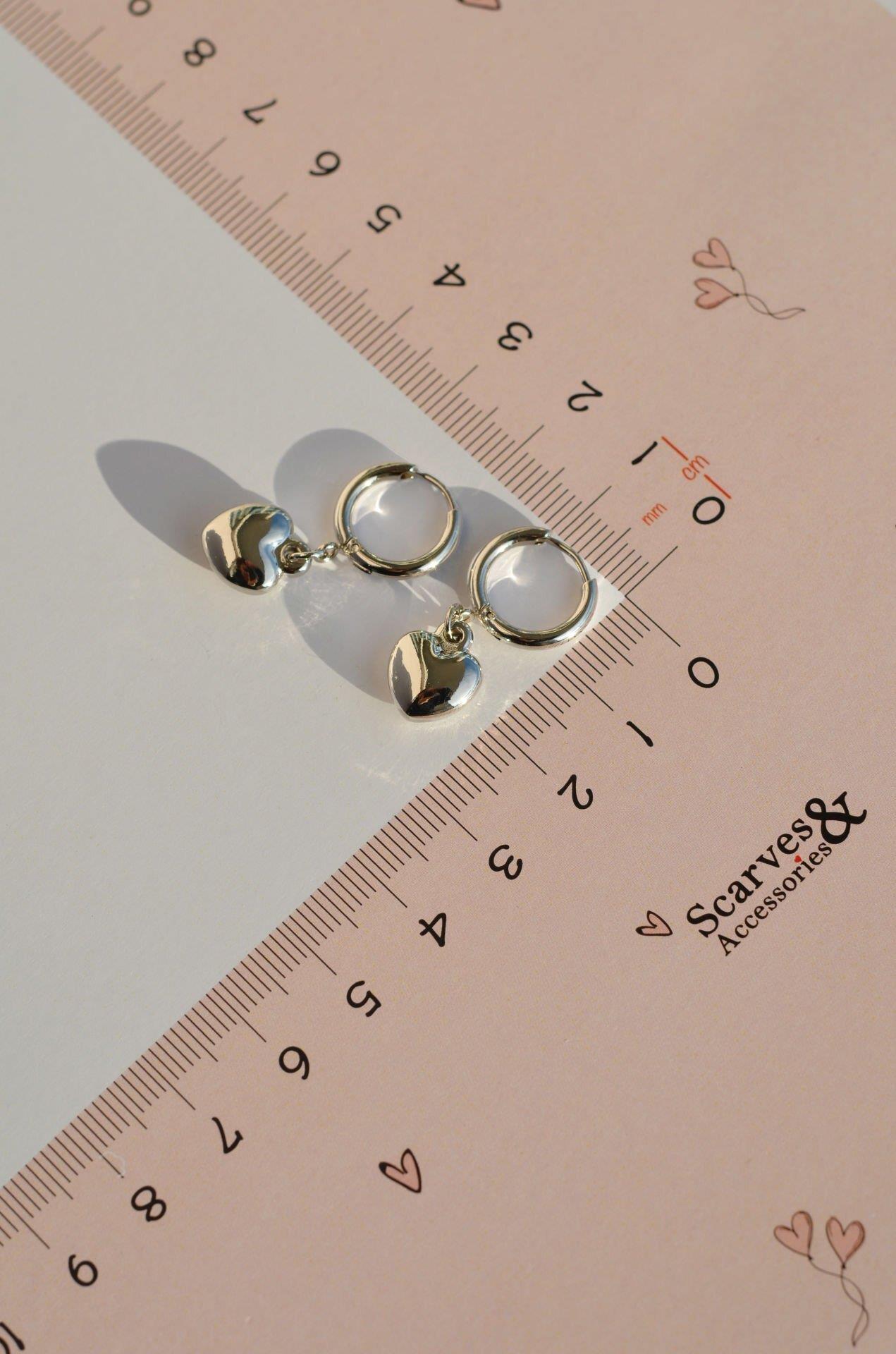 Kalp Sallantılı Çelik Halka Küpe Gümüş Renk