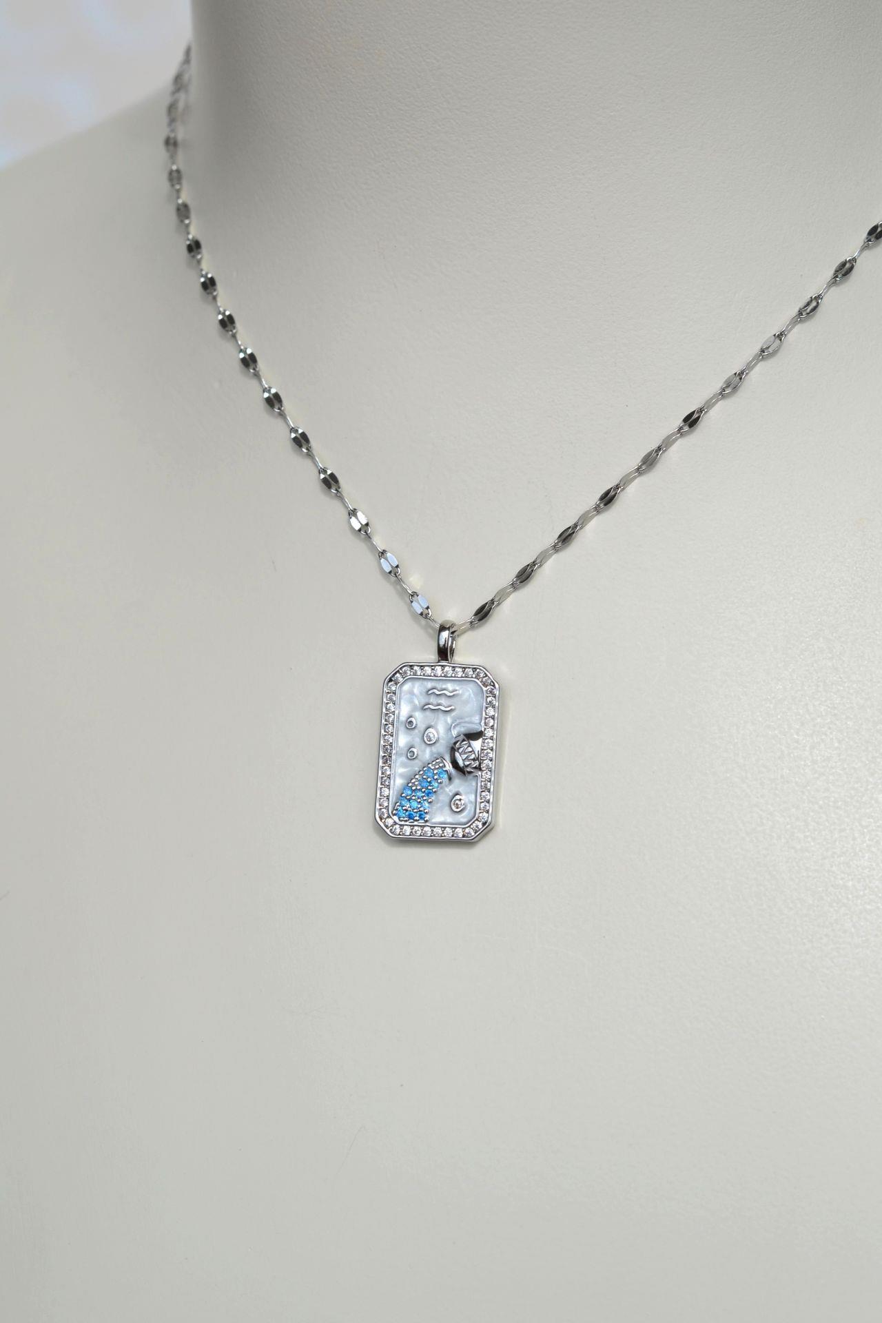 Kova Burcu Kolye Çelik Burç Kolye Kova Gümüş Renk