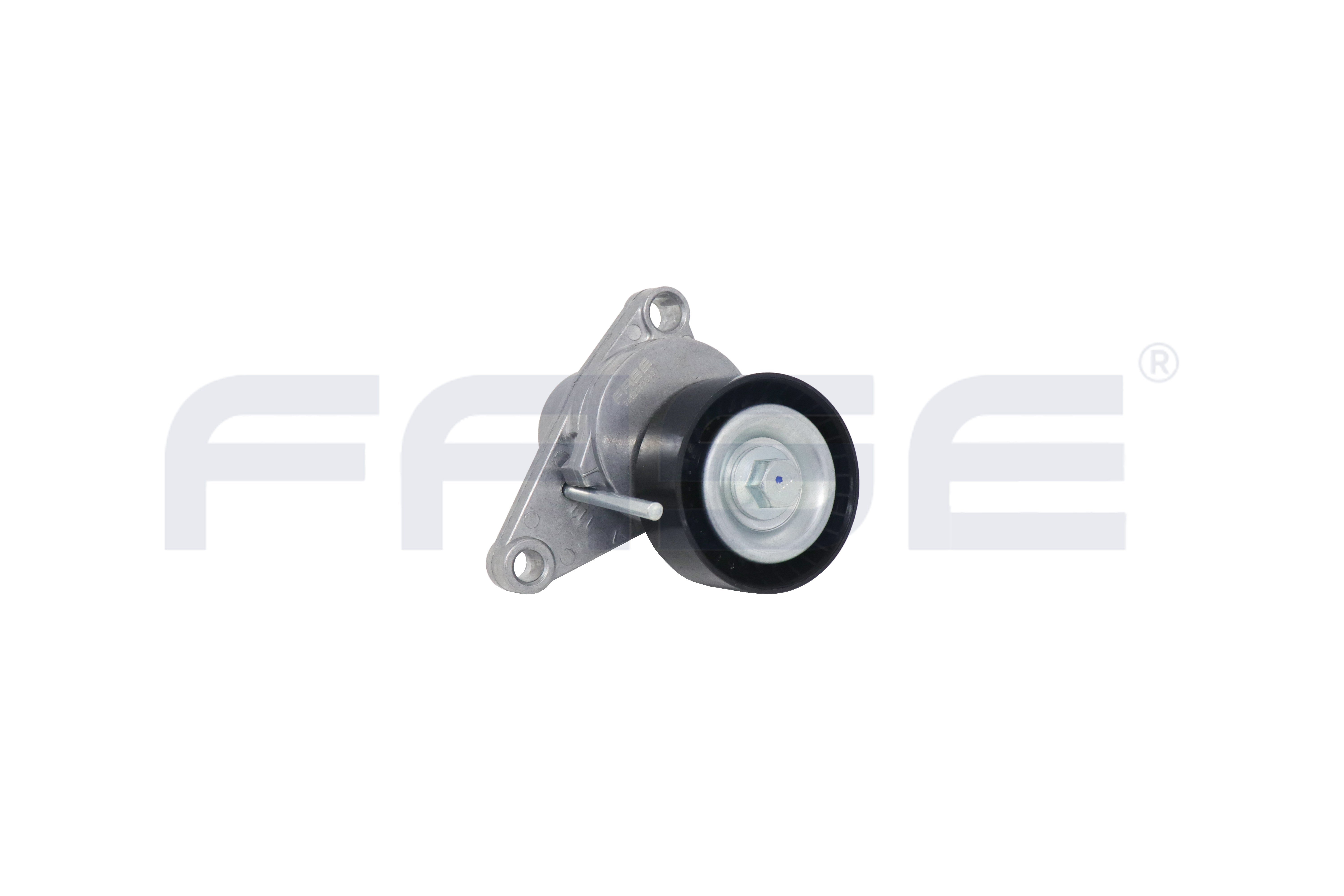 ALTERNATÖR GERGİ RULMANI KOMPLE 207 307 308 C3 C4 - FASE - 22-101-017