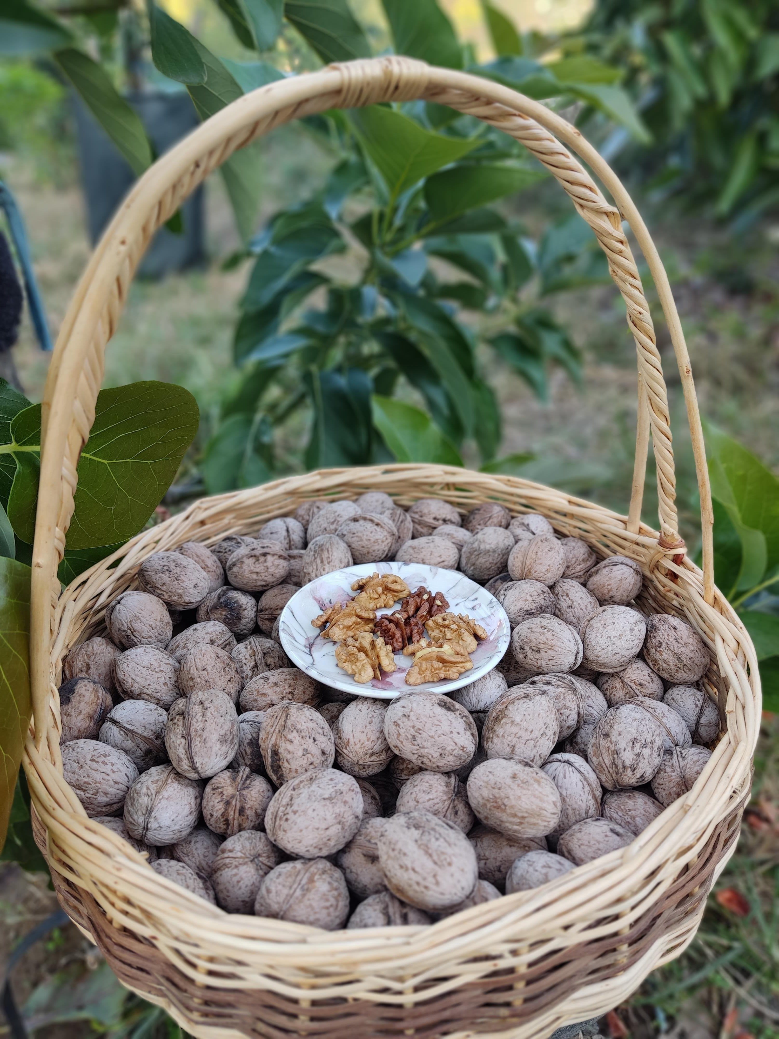 Yerli Ceviz 500 gr