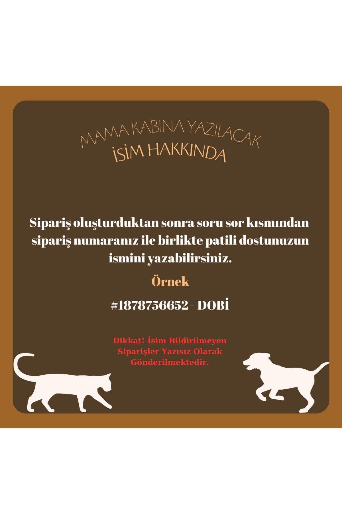 Isimli Mama Kabı Isme Özel Çelik Mama Kabı Isme Özel Mama-su Kabı
