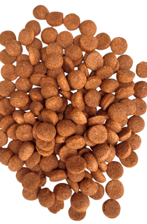 CANIVO Yetişkin Köpek Maması 15 KG - Sağlıklı Köpek Maması | Canivo Pets