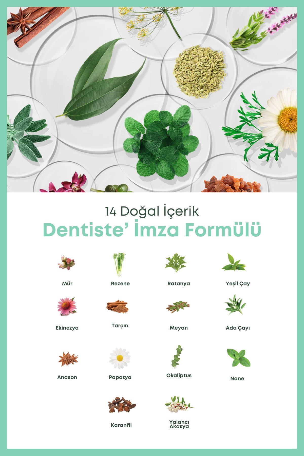 dentiste-propolis-mouth-spray-b4a-98.jpg