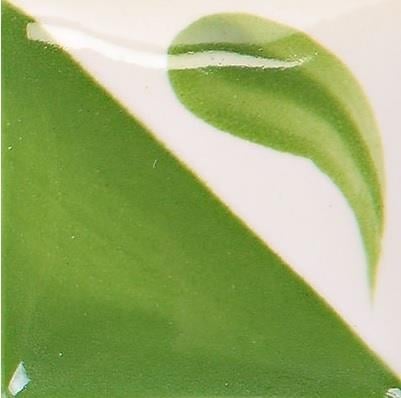 cn-182-bright-kiwi-236ml-ee10-5.jpeg