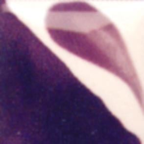cn-323dark-plum-7dcd-4.jpeg