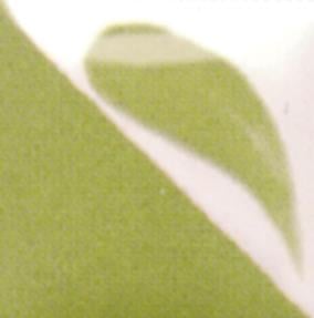 cn-331light-olive-edc-ff.jpeg