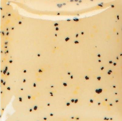 cn-523-ginger-sprinkles-7-2f12.jpeg