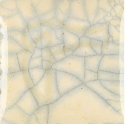 cr-821-parchment-crackle-2ffa-4.jpeg