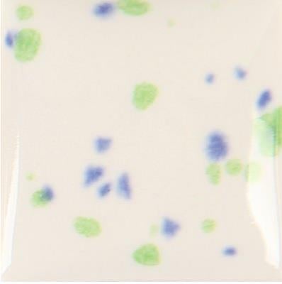 cr-905-blueberries-a62e-a.jpeg