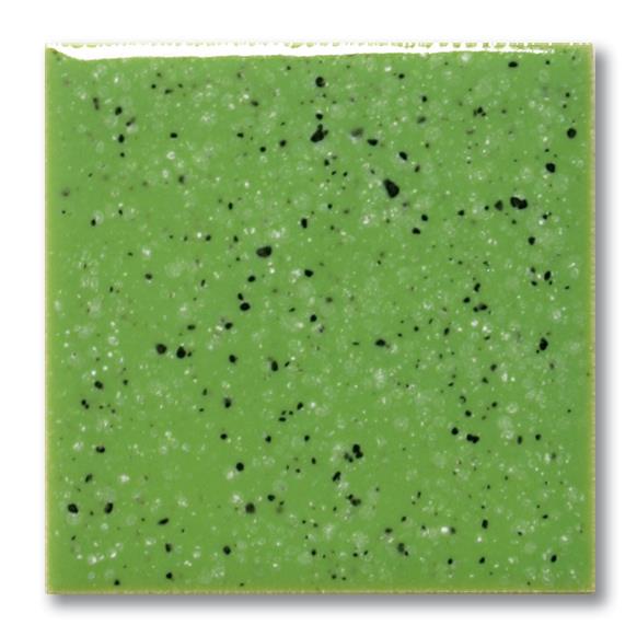 fe-5210-kiwifrucht-a7de0a.jpeg