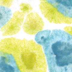 gz-liq-ctl-10-pt-peppermint-ice--46d2-.jpeg