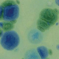gz-liq-ctl-49-pt-azurite-74951f.jpeg
