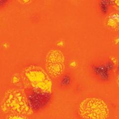 gz-liq-ctl-67-pt-summer-mango-5-98e8.jpeg