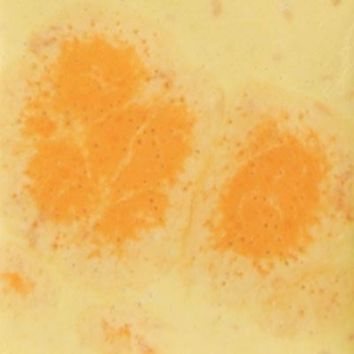 mayco-s-2729-citrus-splash-yari-seffaf-653-43.jpeg