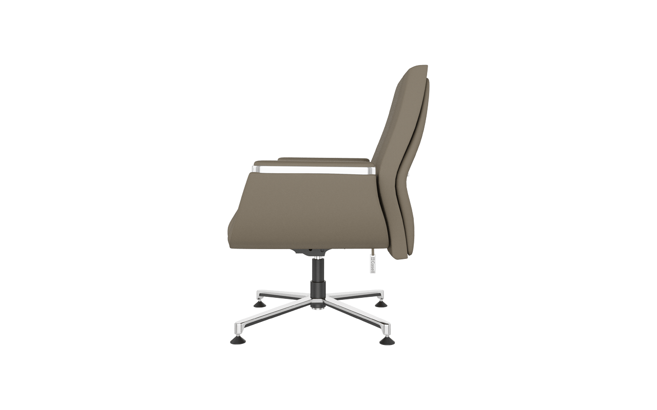 Argent Misafir Koltuğu