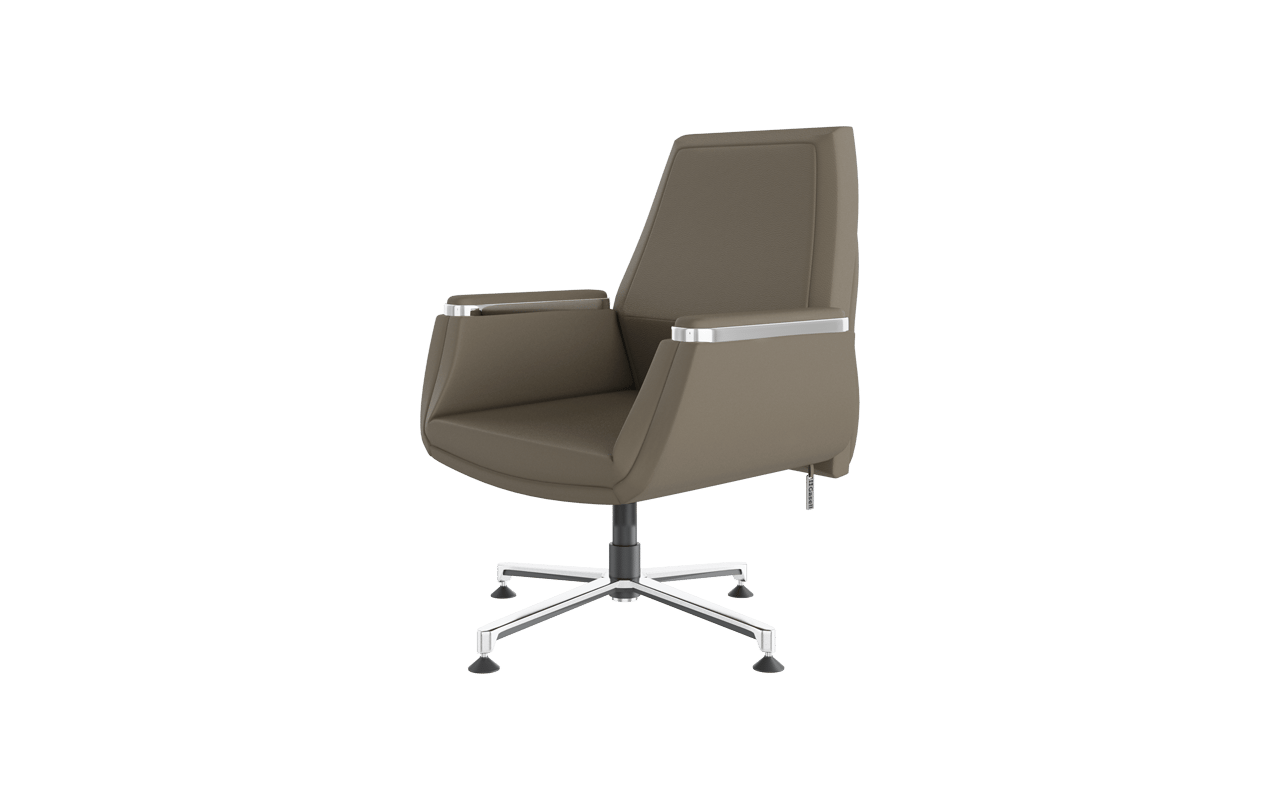 Argent Misafir Koltuğu