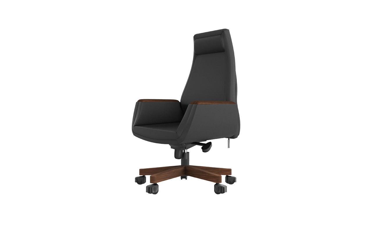 Argent Yönetici Koltuğu