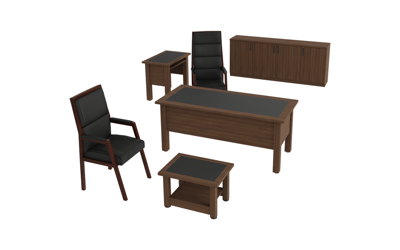 Vega Yönetici Takımı