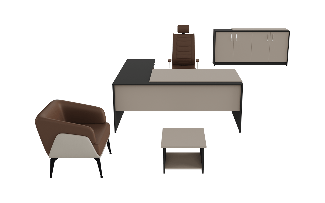 Zenon Çalışma Takımı