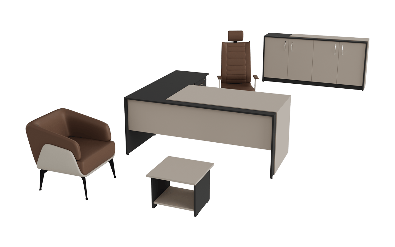 Zenon Çalışma Takımı