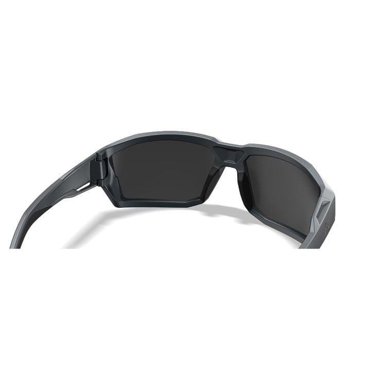 WILEY X ALPINE Captivate Güneş Gözlüğü (Tungsten)