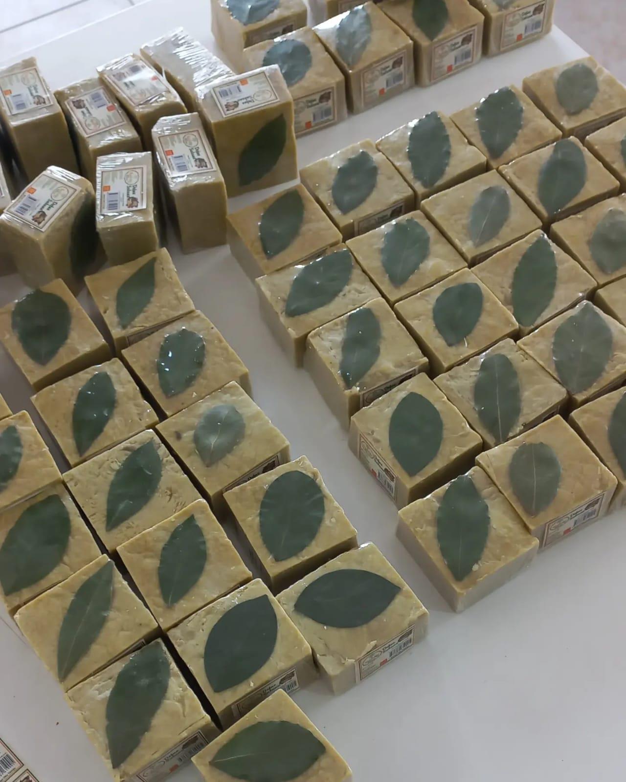 Defne Sabunu (120gr)
