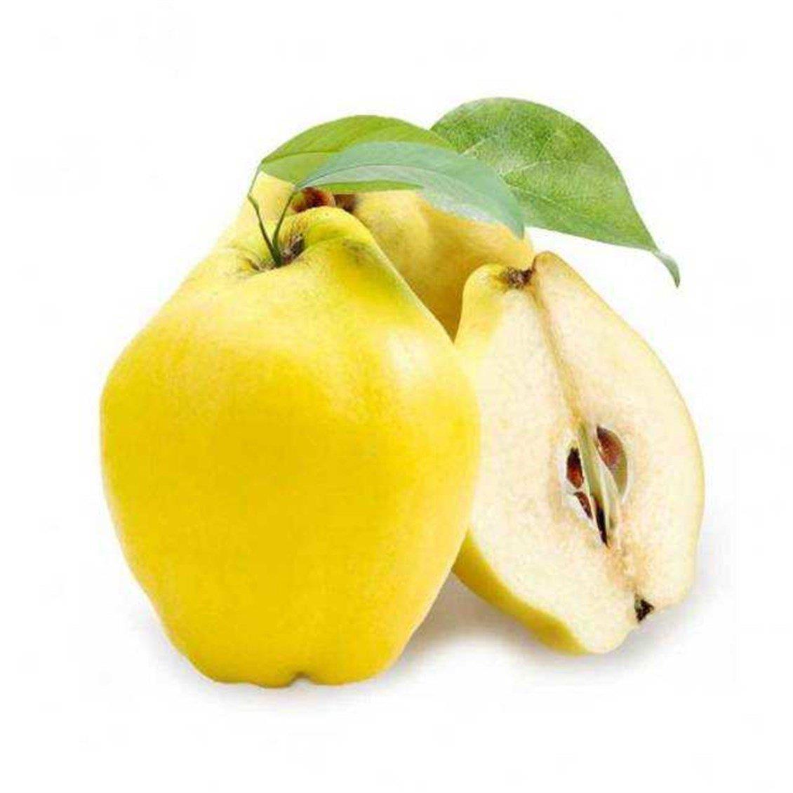 ayva-kg-fa79eb.jpg