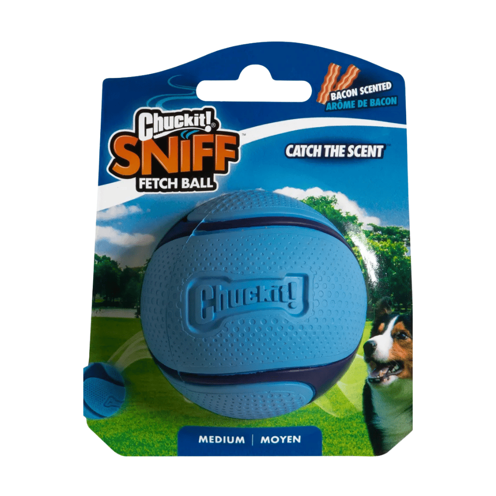 Chuckit Sniff Fetch Jambon Kokulu Köpek Oyun Topu (Orta Boy)