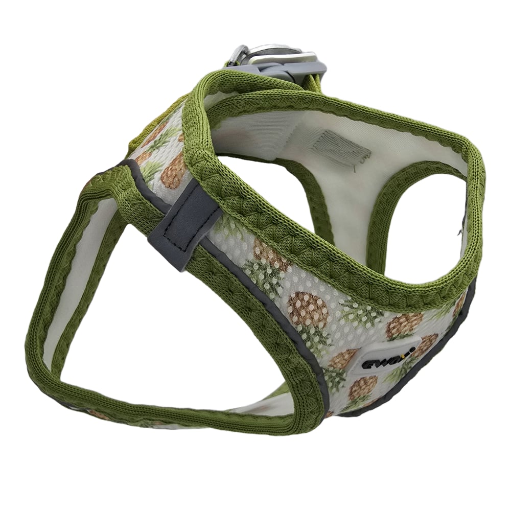 Ewox Air Mesh Ananas Desenli Göğüs Tasması XS