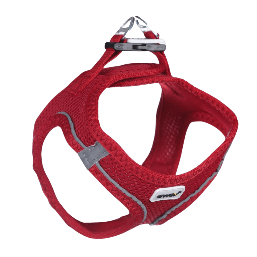 Ewox Air Mesh Kırmızı Göğüs Tasması 2XS