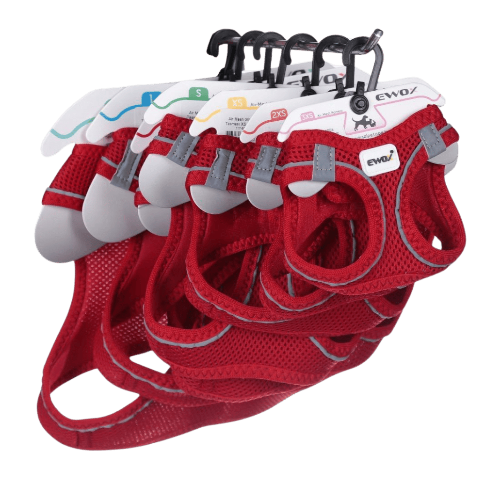 Ewox Air Mesh Kırmızı Göğüs Tasması 2XS