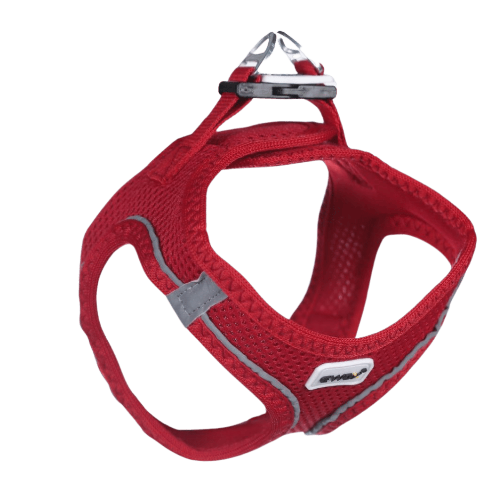 Ewox Air Mesh Kırmızı Göğüs Tasması M