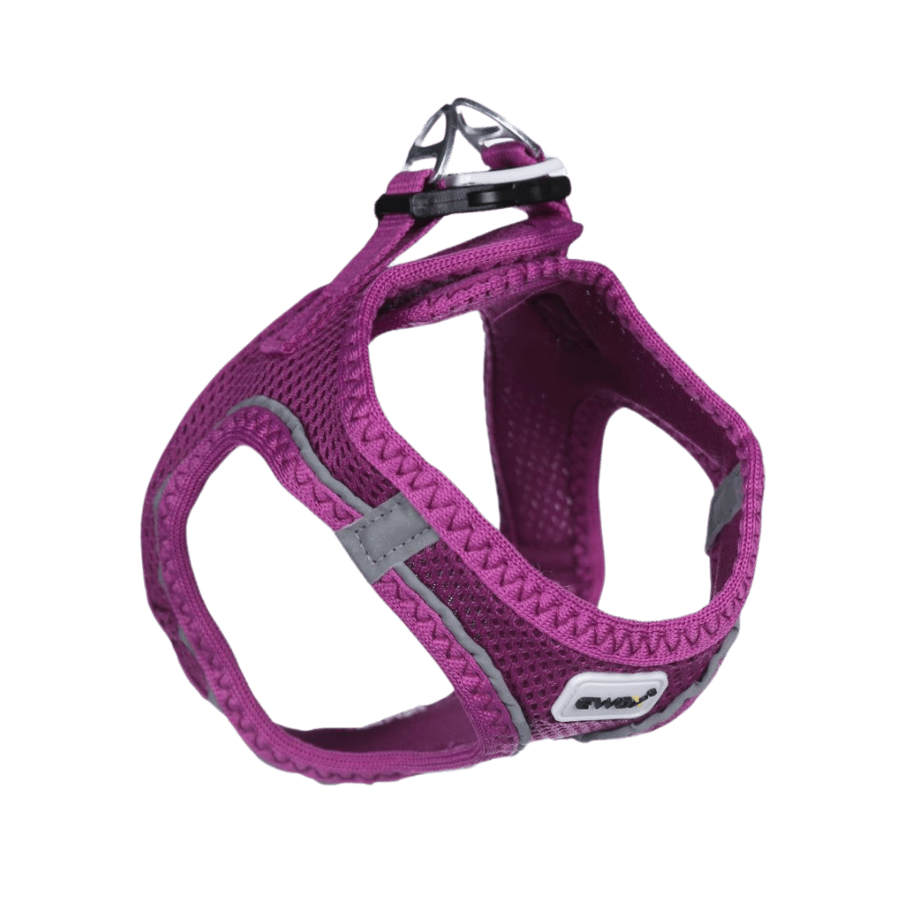 Ewox Air Mesh Mor Göğüs Tasması S