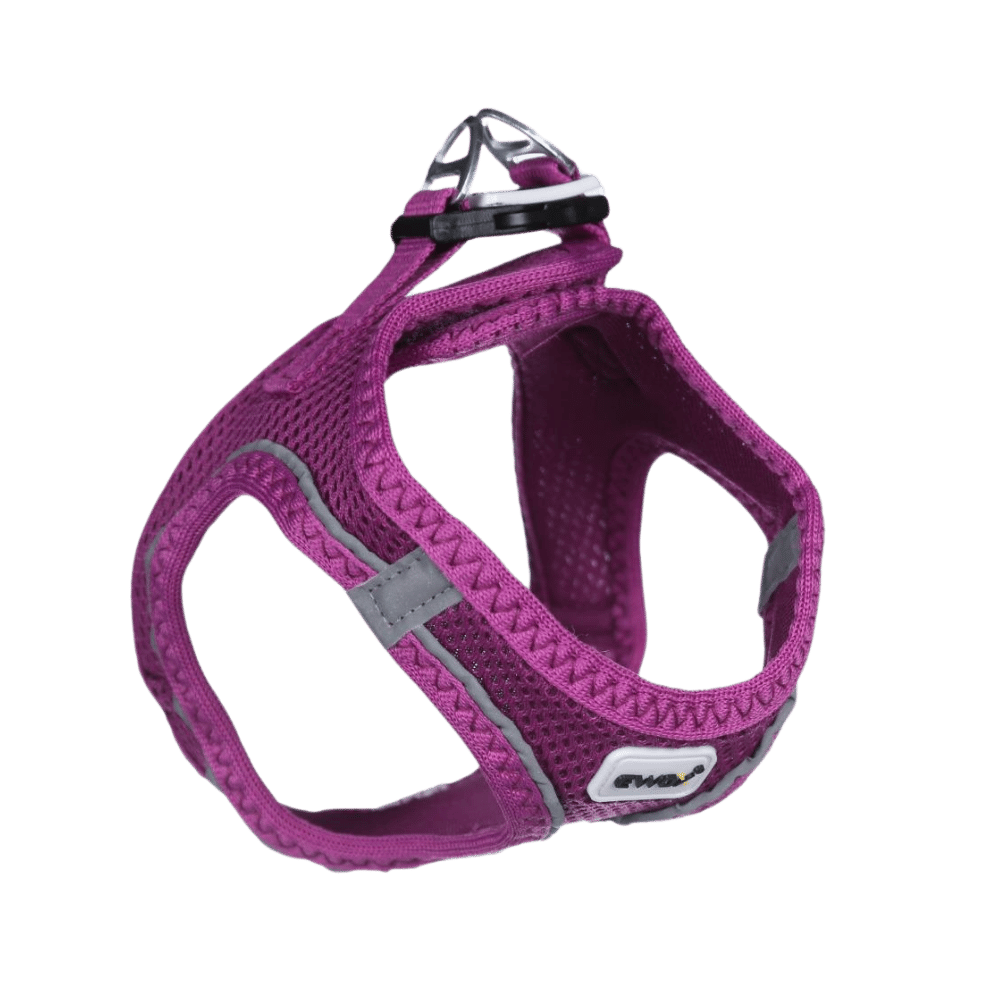 Ewox Air Mesh Mor Göğüs Tasması XS