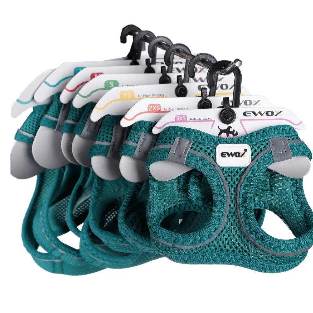 Ewox Air Mesh Yeşil Göğüs Tasması 3XS