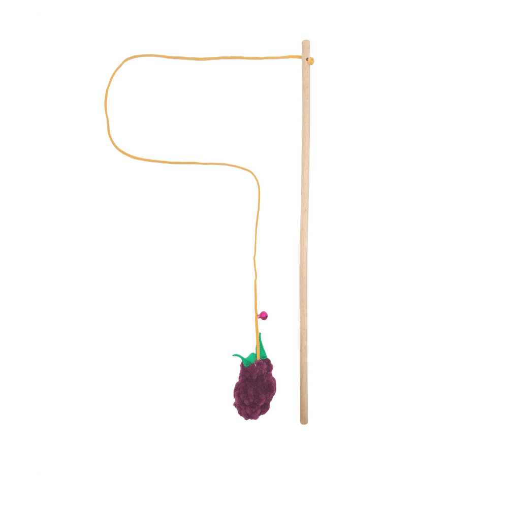 Jooys Kedi Oltası Patlıcan