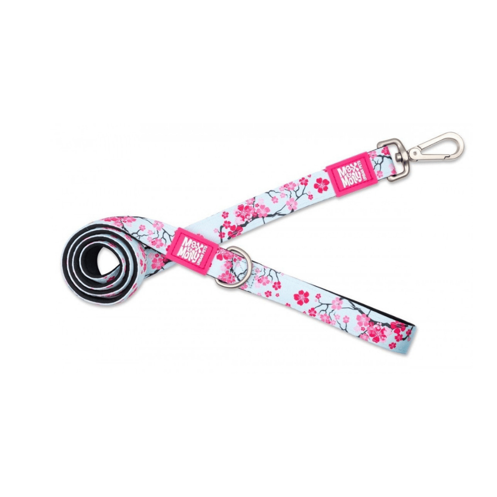 Max & Molly Cherry Bloom Köpek Gezdirme Kayışı Small