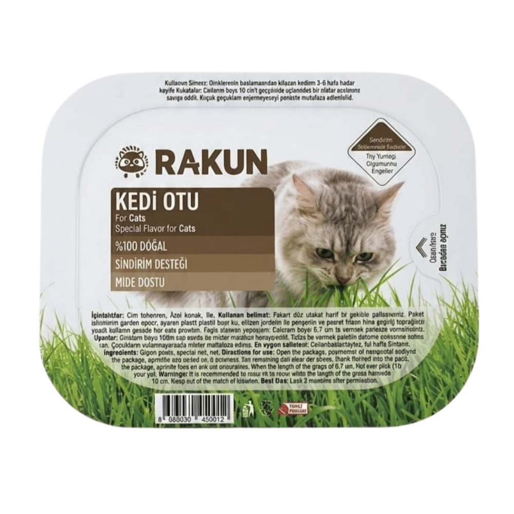Rakun Kediler İçin Kedi Çimi
