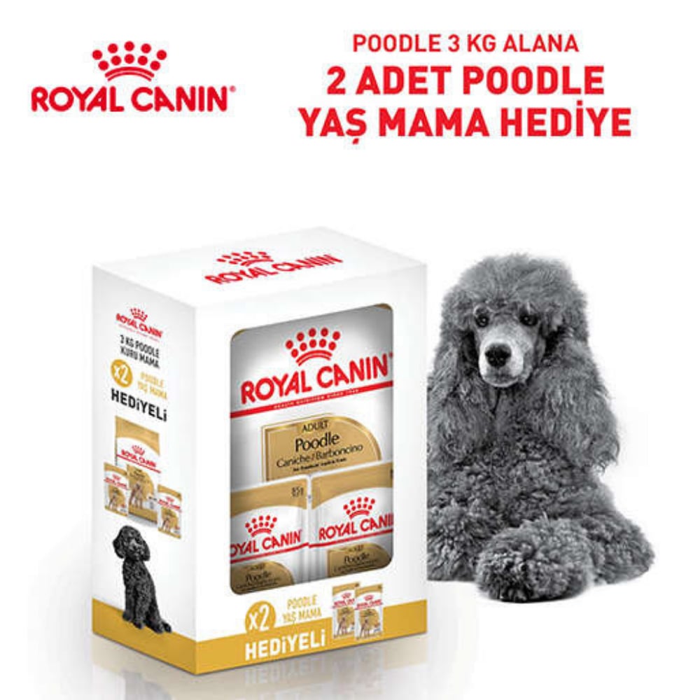 Royal Canin Poodle Adult Bundle Yetişkin Poodle Köpek Maması 3 kg Yetişkin Poodle Köpek Yaş Maması 2x85 gr