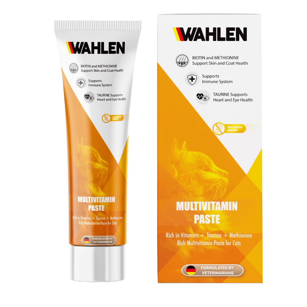 Wahlen Multivitamin Kedi Macunu 100 Gr
