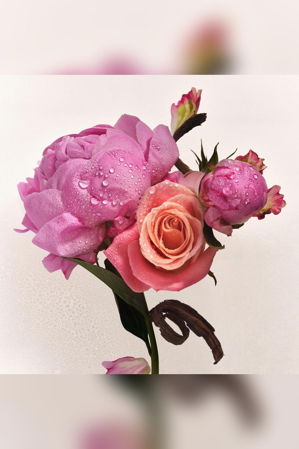 Athena Club Petal Bloom Saç ve Vücut Spreyi 177ML