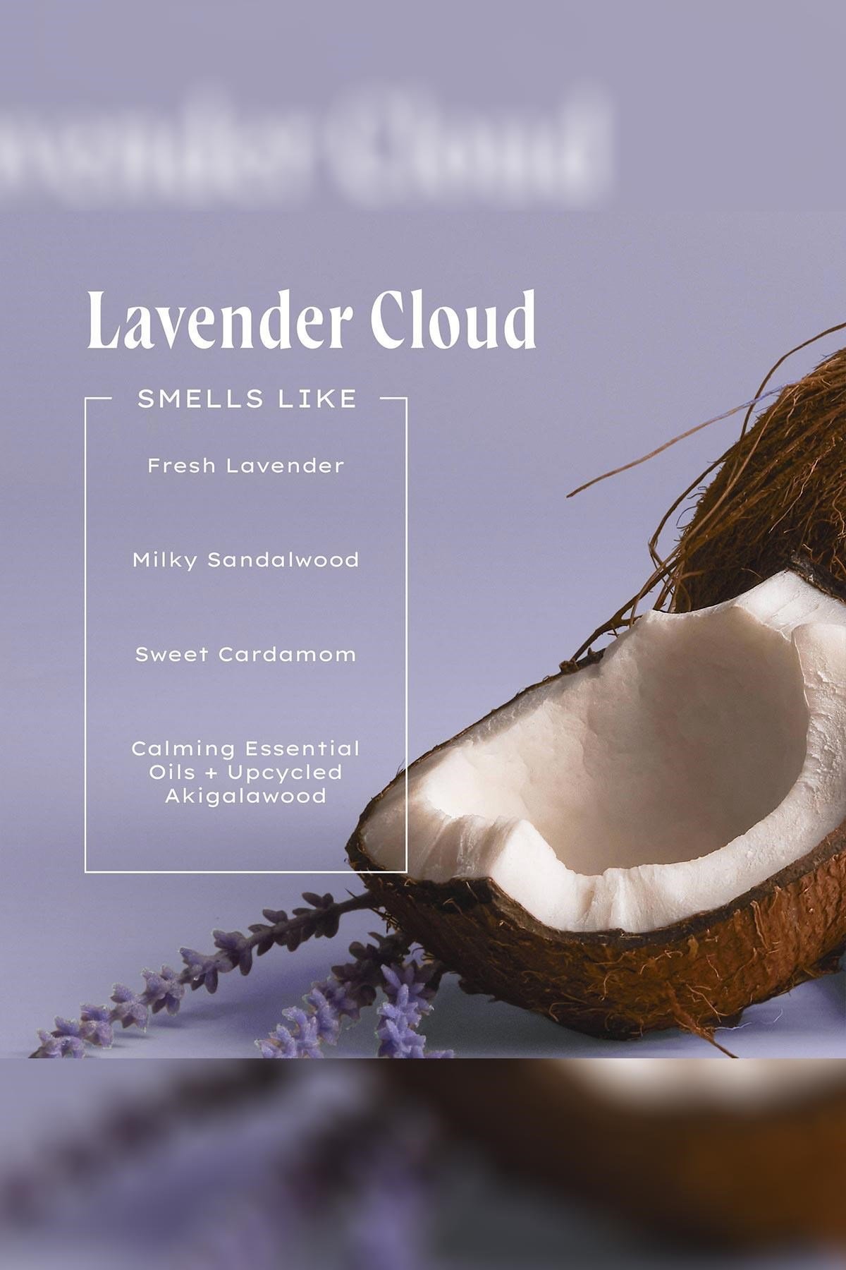 Being Frenshe Lavender Cloud Onarıcı Şampuan 473ML