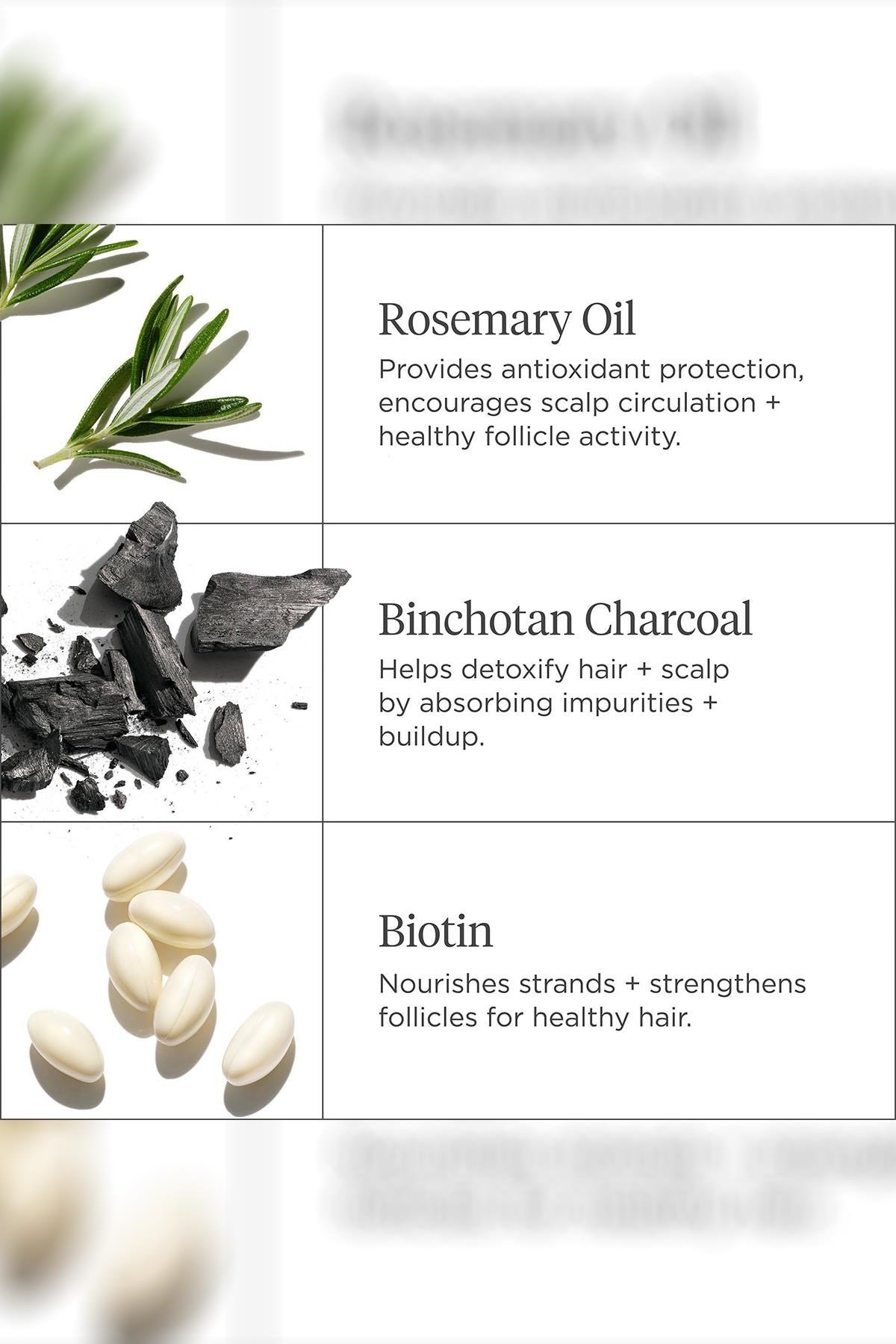 Briogeo Scalp Revival Saç Derisi Bakım Seti Seyahat Boyu