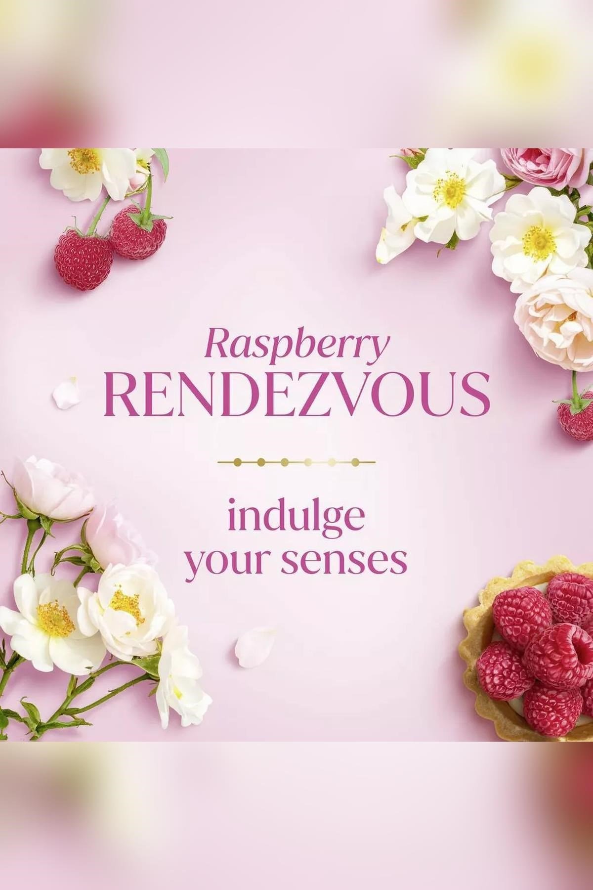 Dove Bridgerton Raspberry Rendezvous Antiperspirant Stick Deodorant 74GR