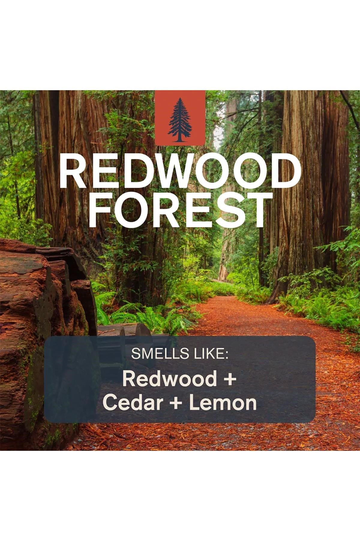 Every Man Jack Redwood Forest Alüminyumsuz Stick Deodorant 73GR