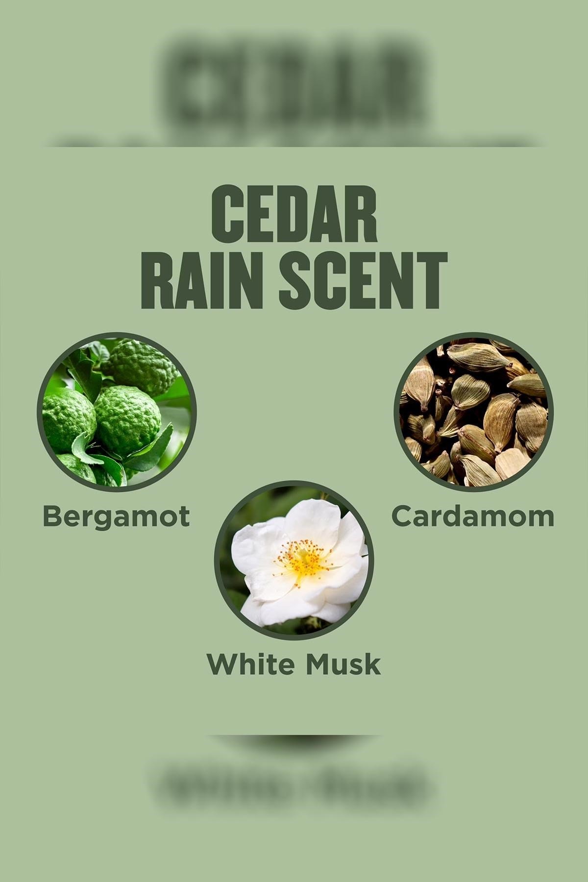 Gold Bond Cedar Rain Canlandırıcı ve Nemlendirici El Kremi 85GR