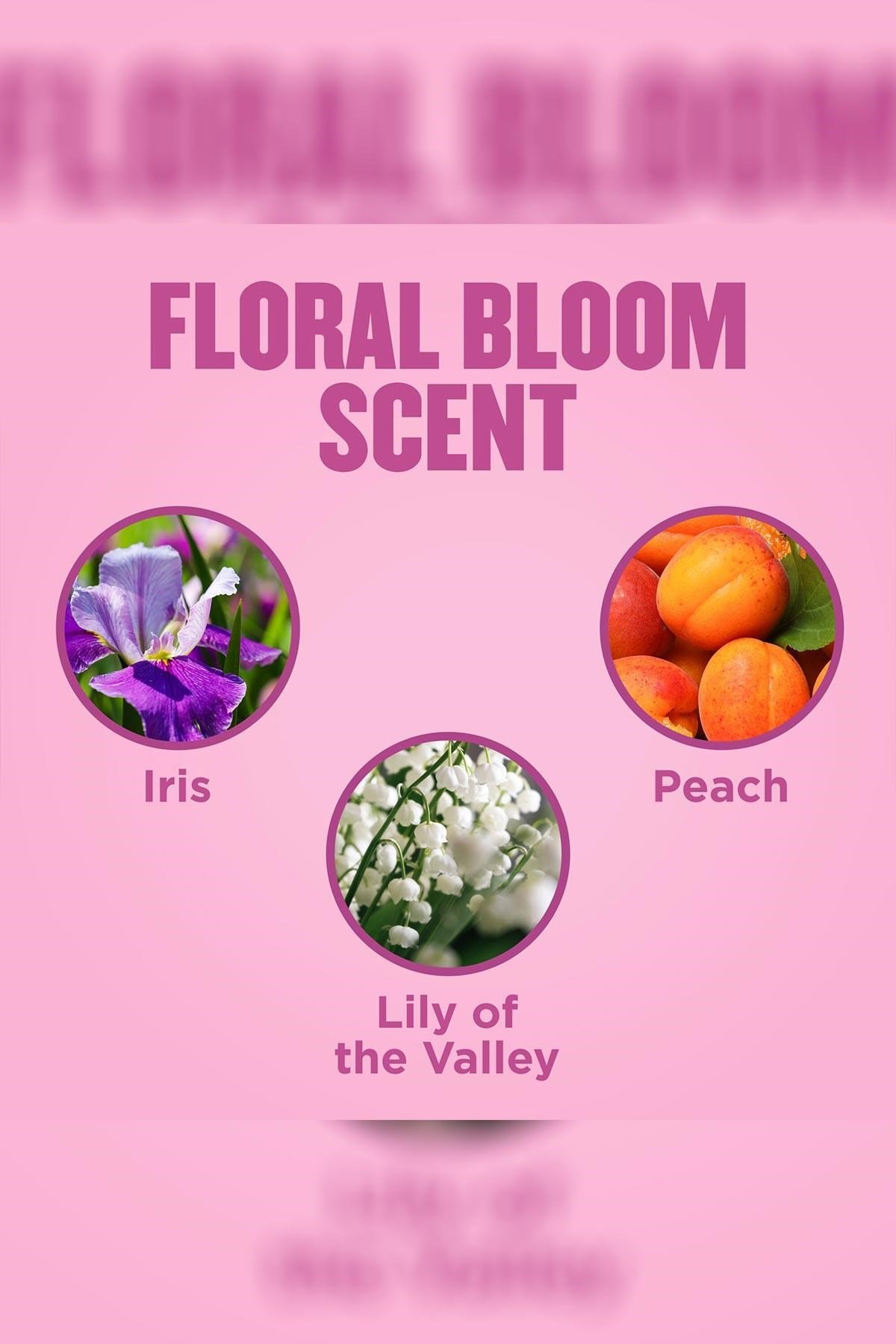 Gold Bond Floral Bloom Nemlendirici El Kremi 85GR