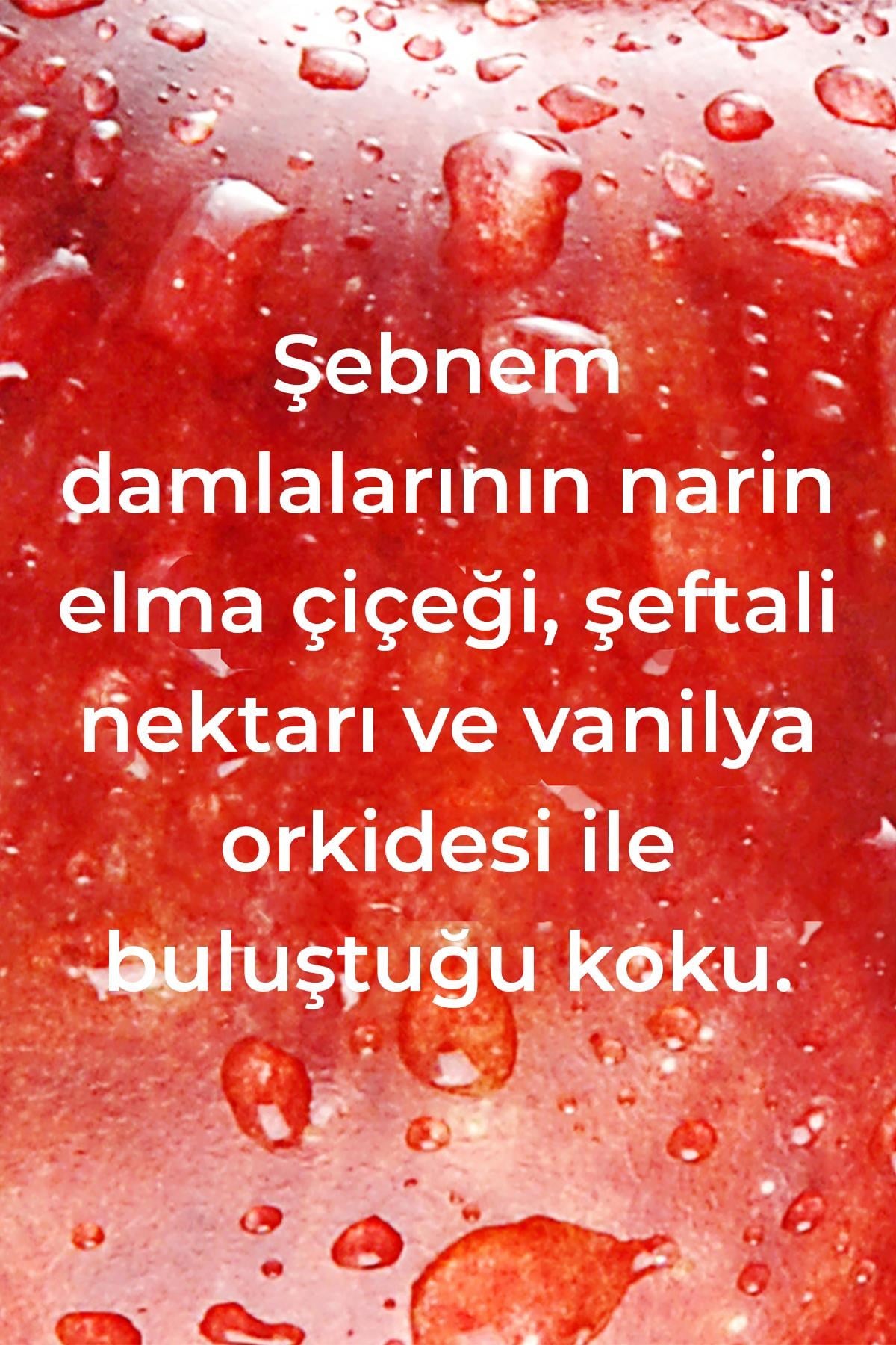 Method Ankastre Temizleyici ve Parlatıcı Elma Bahçesi Kokulu 414ML