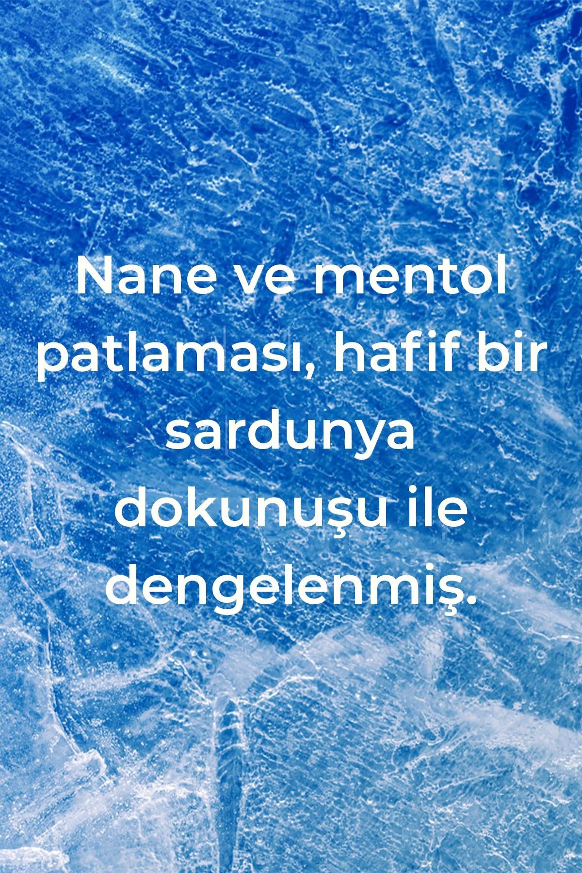 Method Banyo Temizleyici Nane Kokulu 828ML